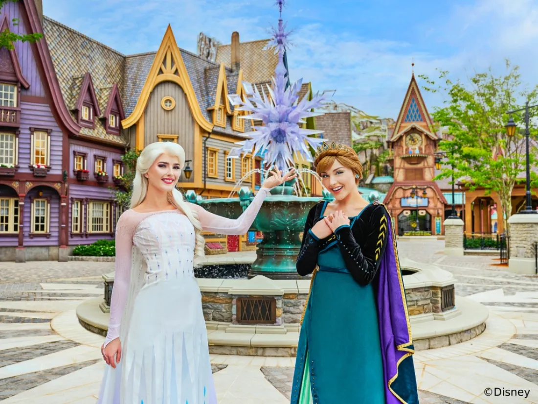 20th Anniversary Disneyland Room Package